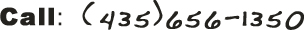 phone number